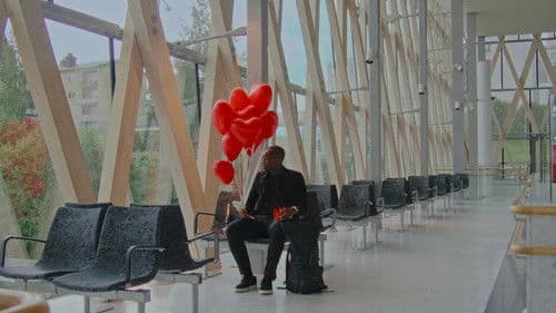 The Lonely Cougar and the Heartbroken Stud Bild 1