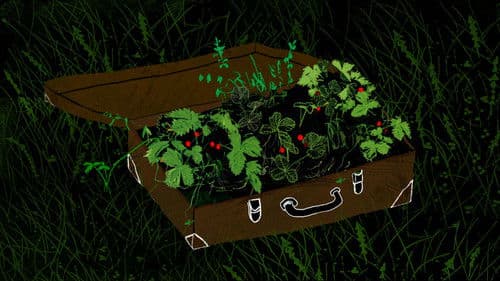 Потерянный сад Bild 6