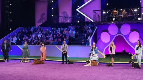 2022 American Rescue Dog Show Bild 6