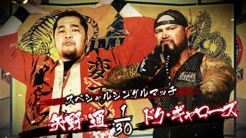 NJPW Dominion 6.12 In Osaka-Jo Hall Bild 5