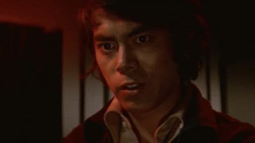 夜の演歌　しのび恋 Bild 5