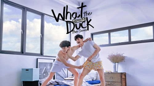 What the Duck รักแลนดิ้ง Bild 1