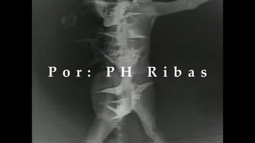 HAIKAI: HAIGAY Bild 7