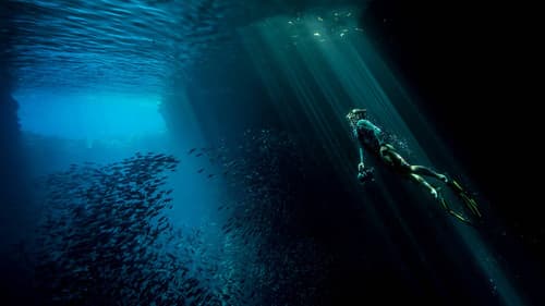 Bildschöne Welt Bild 1