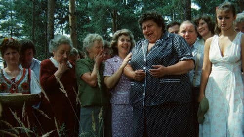 Slunce, seno, jahody Bild 2