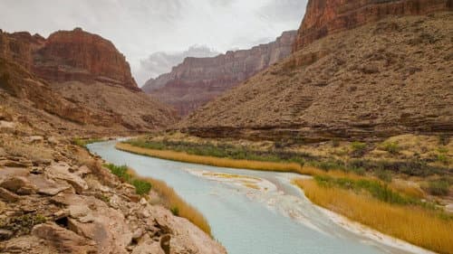 We Are Grand Canyon Bild 2