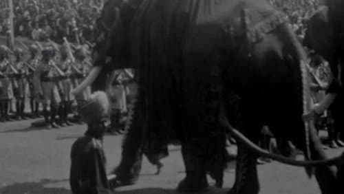 Mysore Dasara Bild 1