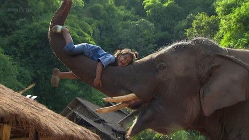 Super Smart Animals Bild 2