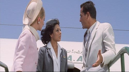 So ein Windhund Bild 4