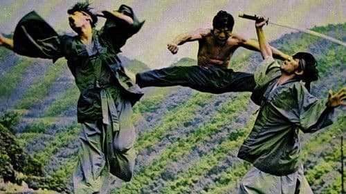 Die Rache des Karatetigers Bild 3