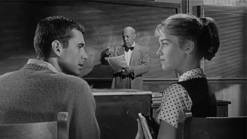 Je länger, je lieber Bild 4