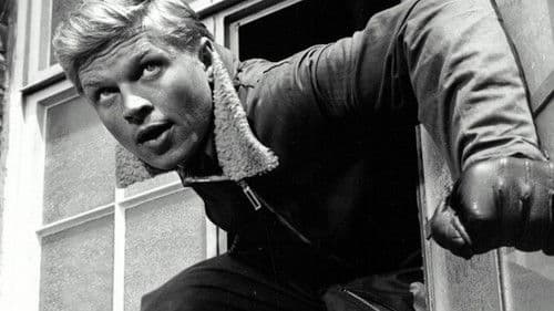 Einer kam durch Bild 3