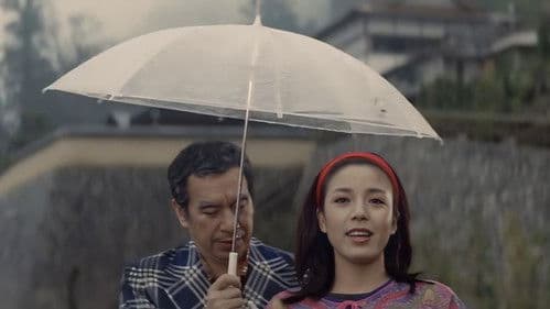 好色花でんしゃ Bild 2