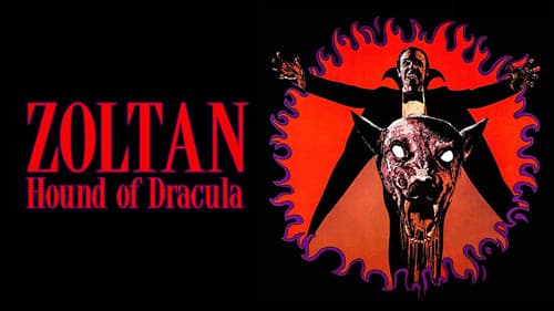 Zoltan - Dracula's Bluthund Bild 1