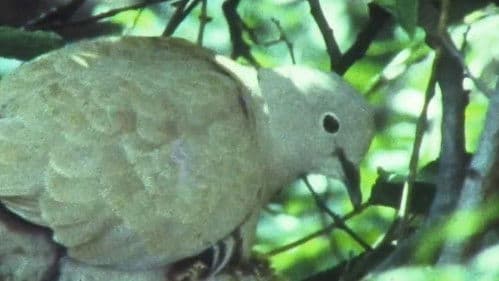 Мої вихідні Bild 4