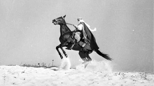O Sheik de Agadir Bild 1