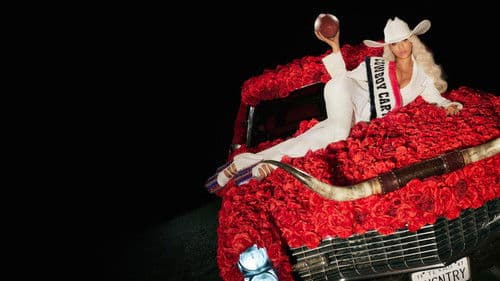 Beyoncé Bowl Bild 4