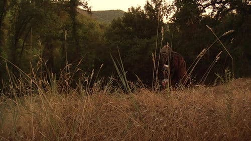 Bigfoot's Wild Weekend Bild 1