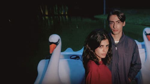 Dias Perfeitos Bild 3