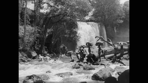 Stanley and Livingstone Bild 5
