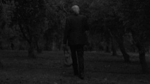 چرۆی درەختە پیرەکان Bild 1