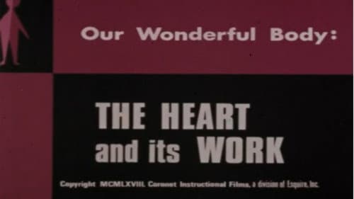 Our Wonderful Body: The Heart and Its Work Bild 1