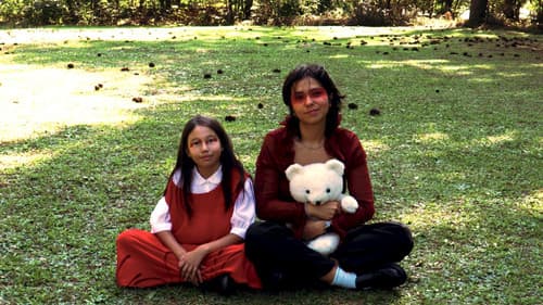 Lembrar de Mim Bild 5