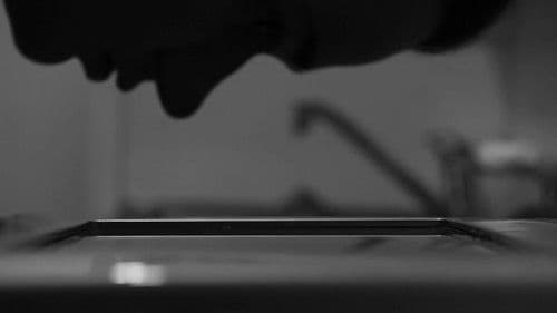 Into The Alternate Bild 2