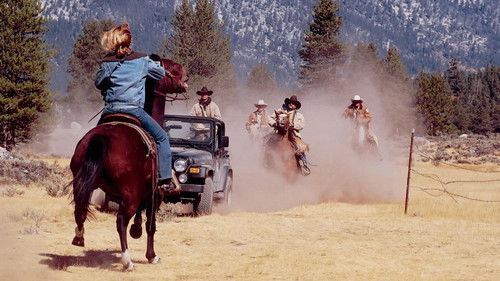 Straight From the Heart Bild 4