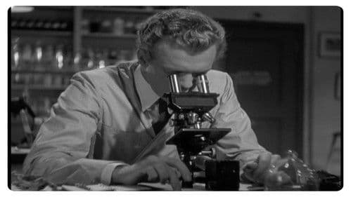 Der Gentleman-Killer Bild 3