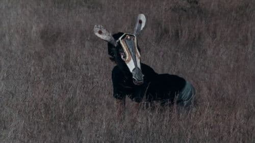 കുമ്മാട്ടി Bild 5