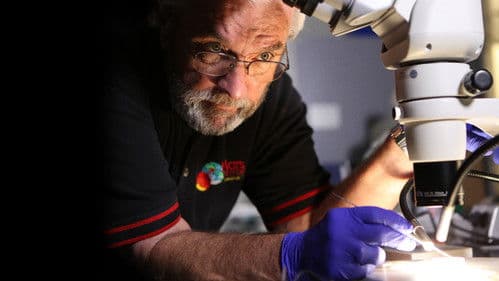 Million Dollar Moon Rock Heist Bild 6