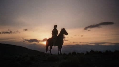 König der Gauchos Bild 5