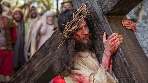 O Filho do Homem Bild 1