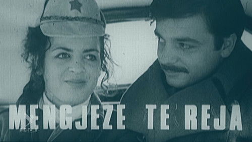 Mëngjese të reja Bild 1