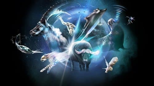 Super/Natural Bild 1