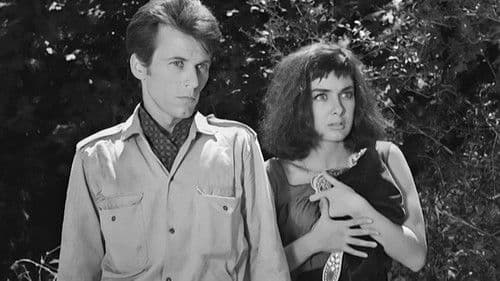 Ο Αδελφός Άννα Bild 4