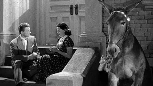 Francis Covers the Big Town Bild 7