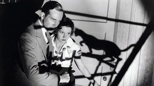 Die schwarze Katze Bild 3