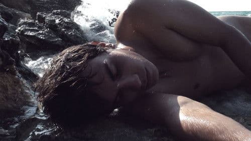 Félix y el pez Bild 3