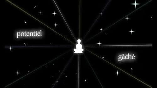 potentiel gâché Bild 1