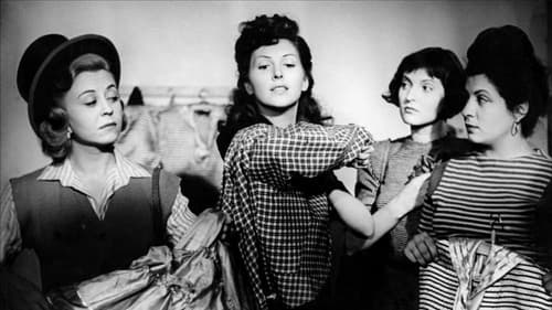 Lichter des Varieté Bild 5