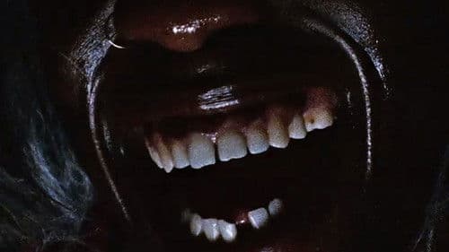 SILENT MADNESS Bild 1