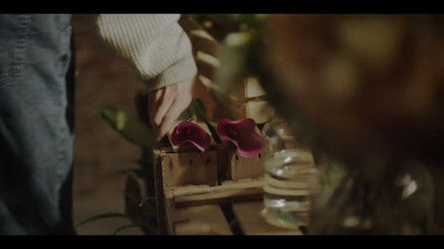 Despide a tu fuckboi Bild 6