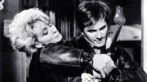 Die Nächte mit Nancy Bild 2