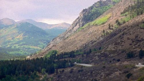 The Brown Bunny Bild 7