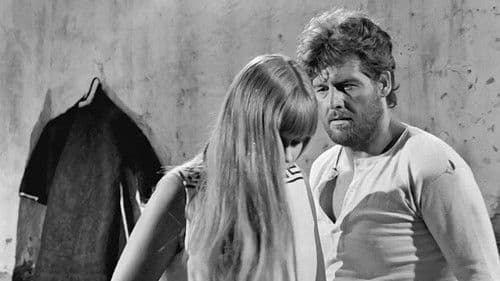 Ich hab' die Liebe geseh'n Bild 4