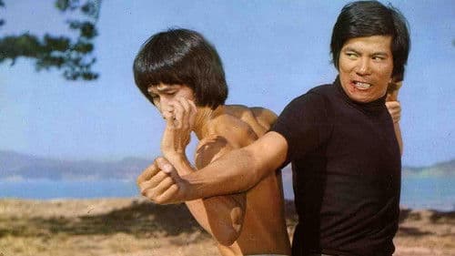 Pi li long quan Bild 1