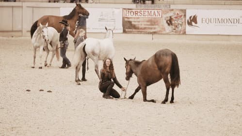Aus Liebe zum Mustang Bild 3