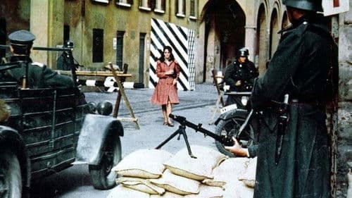 I sette fratelli Cervi Bild 6